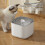 3L Large Capacity Cat Dog Pet Circulating Filter 2