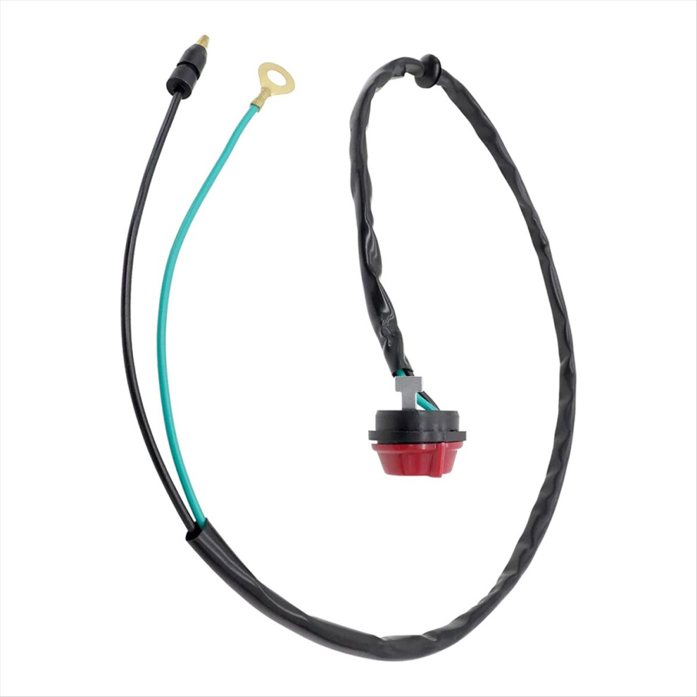 Kill Switch Assembly For Atc70 1978- 4853721248567