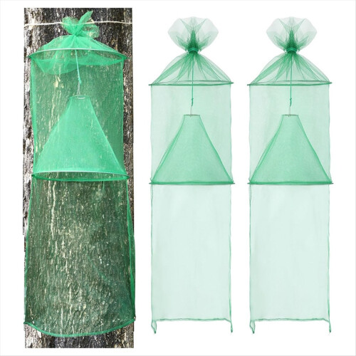 Pacote com 2 armadilhas para moscas-lanterna-pintadas, conjunto com corda e pregos