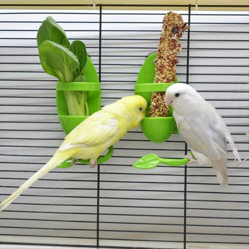 Bird Cage Feeding Rack Vegetable Fruit Cuttlefish Skeleton 2