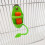 Bird Cage Feeding Rack Vegetable Fruit Cuttlefish Skeleton 5
