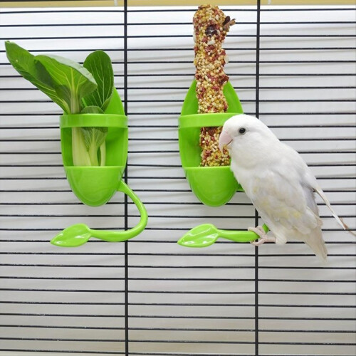 Bird Cage Feeding Rack Vegetable Fruit Cuttlefish Skeleton 1