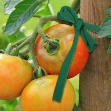 Fio de jardim para amarrar plantas de jardim, suporte elástico para plantas