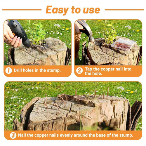 15 Pieces Copper Nails for Killing Tree Stump 1