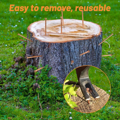 15 Pieces Copper Nails for Killing Tree Stump 2