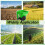 Handheld Spreader Planting Tool, Επαναχρησιμοποιήσιμο Spreader Προμηθειών Κήπου 6