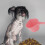5 plastic schepje hondenvoer en puppyvoeding 10