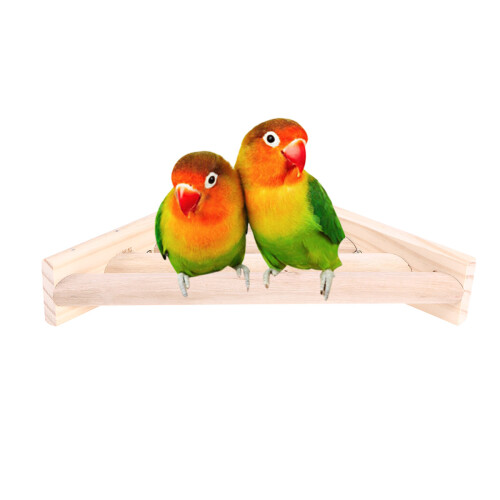 speelgoed vierkant platform met vogels en eekhoorns 2