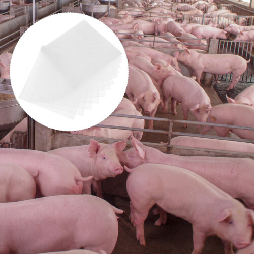 100 filterpapier voor kunstmatige bevruchting varkens 1