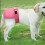 Couches Hygiéniques Roses Pour Ajustables 4