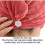 (red) 2pcs Microfiber Hair Towel Wrap For Women V 3