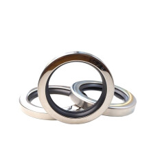 Rotary Shaft Seal Stainless Steel Oil Seal, Inner Diameter 8-35 mm, Size 18x32x7, 1 Piece