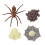 set arthropoden levenscyclus spin model dieren groeicyclus speelgoed 5