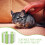 Platform Hamster Chinchilla Rat Suikereekhoorn 8