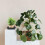 6St Quadratische Blumentopfuntersetzer Für Und 3