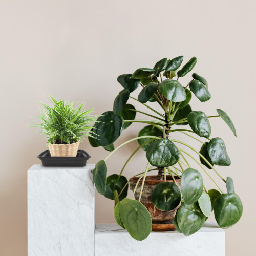 6St Quadratische Blumentopfuntersetzer Für Und 2