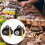20 abschluss papier candy boxen schokoladen geschenkverpackung 8