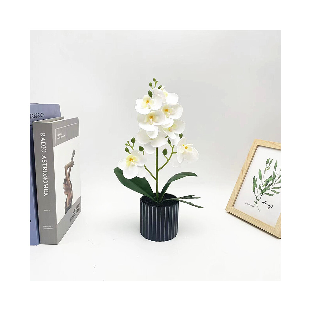 (Style E ) Aphrodite Phalaenopsis Rchb Fake Bonsai Bedroom Wedding Or Prop Outdoor Decor-image-OPC-PKT7TSB-NEW