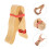 2 Pcs Drafting Of Measuring Supplies Clips Solid Wood 11