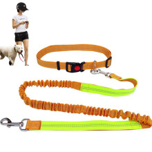 Retractable Hands Free Dog Leash For Running Walking Training With Adjustable Waist Belt And Reflective Stitching