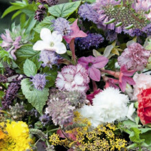 Fragrant Flowers Mixed Scatter Seeds – Scented Wildflower Mix