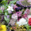 Fragrant Flowers Mixed Scatter Seeds – Scented Wildflower Mix 1