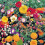 Bedding Flower Scatter Seeds – Create a Colourful Garden 1