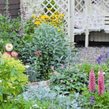 Cottage Garden Mix: Scatter Seeds: