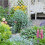 Cottage Garden Mix: Scatter Seeds: 1