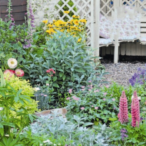 Cottage Garden Mix: Scatter Seeds: