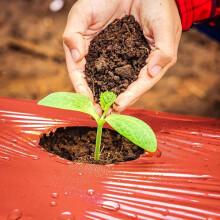 Red Mulch Film 4 Ft X 25 Ft Garden Plastic Film For Potatoes Strawberries And Other Crops