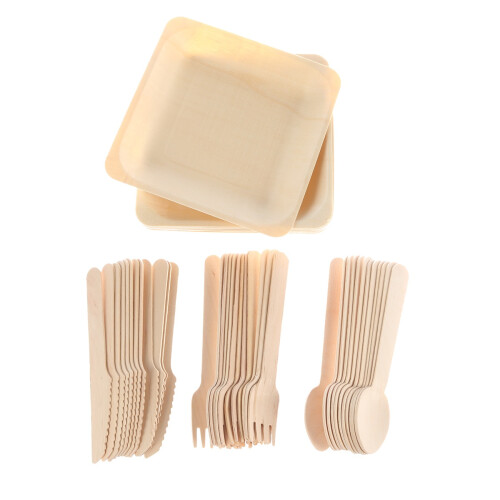 48Pcs Set Biodegradable Wooden Utensils