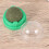 2 roterende muntballen , Actinidia polygama, verteringshulp 7