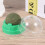 2 roterende muntballen , Actinidia polygama, verteringshulp 9