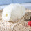 10 rouleaux de corde à en coton pour travaux manuels pulls 9