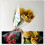 50 pz buste trasparenti per imballaggio e rose 9