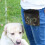 Hondentrainingstas met snackhouder puppytraining en 11