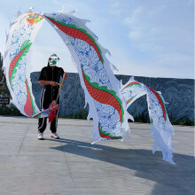 Dragon Poi White, 6m (20ft) Ribbon Streamer with Head, Wu Long Style, Outdoor Fitness Parade Dancer