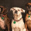 3 targhette identificative per in 9