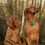 3 targhette identificative per in 10