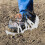conjunto de aerator para com espigões 8