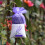 25 saquinhos estampados floral com lavanda para relaxamento e 3