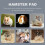 300 palline per crisetti e animali, trapunte creative 8