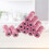 24 buste igieniche rosa biodegradabili per feci 8
