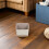 Rvs Kattenbak Schep Met Houder Ergonomisch En Schuifbaar Design 7