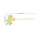 20Pcs Coconut Tree Fruit Picks: Bamboo Decorative Picks For Appetizers 3