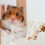 1 pack absorbent liners for guinea pigs, hamsters, rabbits cage 10