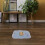 6 cavia- , comfortabele kooiliners kleinvee 11
