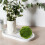 3pcs artificial moss orbs: realistic faux greenery balls for decor 5