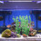 3Pcs Green Plastic Artificial Aquarium Plants Decor 9